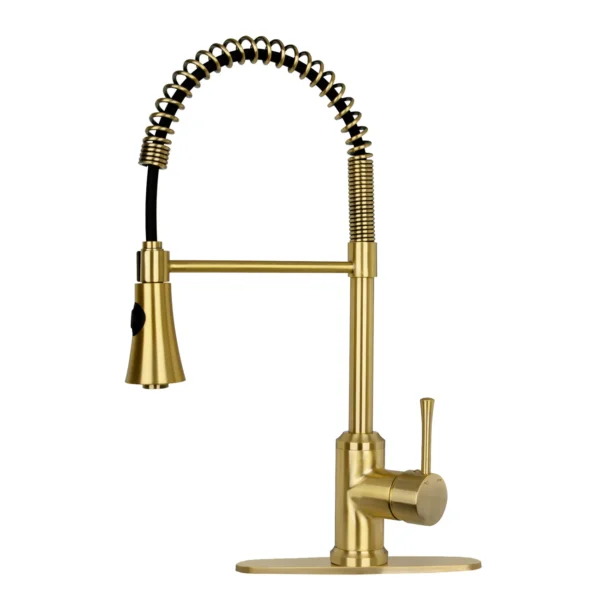 One-Handle Pre-Rinse Spring Brushed Gold Kitchen Faucet - PDF50