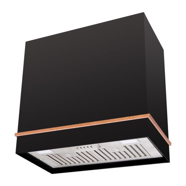 Icon 30" Stainless Steel Range Hood, 600 CFM Wall Mount Vent Hood with Powerful Vent Motor, Modern Box Kitchen Hood with LED Lights, Charcoal Filter